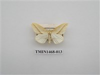 藏品(尺蠖蛾科)的圖片